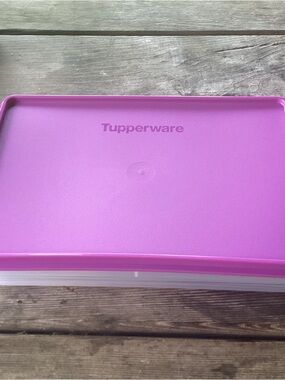 Tupperware Snack-Stor Large with Egg Inserts in Wild Mulberry